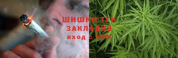 дмт Алексеевка