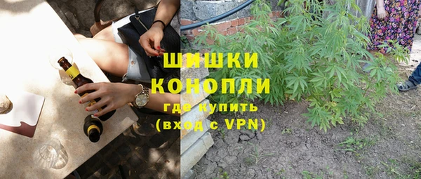 эйфоретик Алзамай